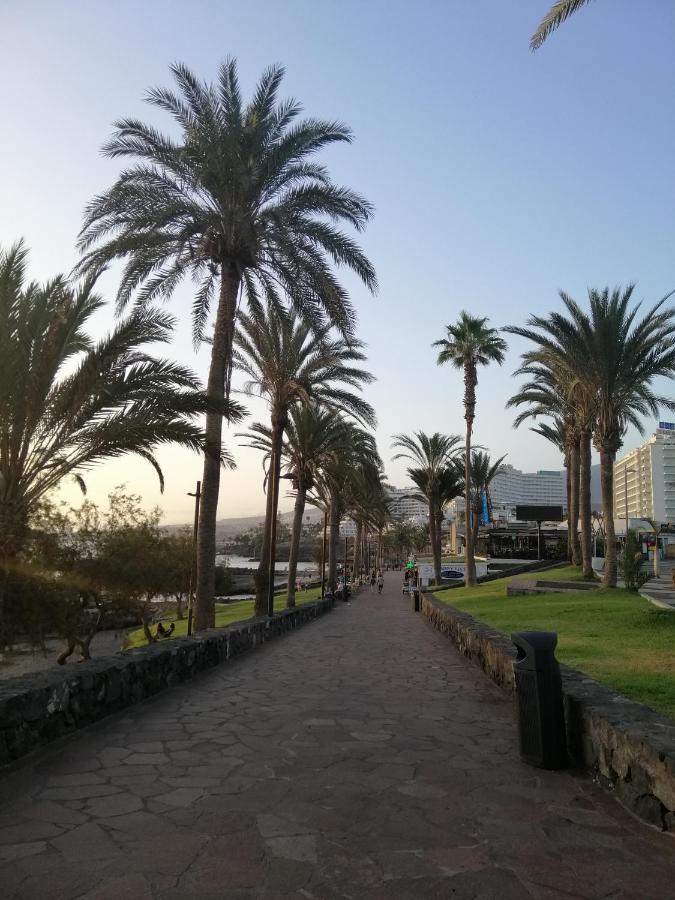 Сozy Apartment In Las Americas Playa Feñabe Dış mekan fotoğraf